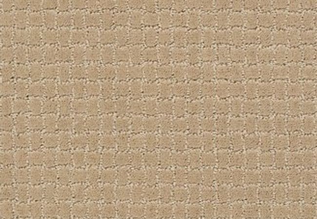 Anderson Tuftex Carpet Pawstruck Monterey, Anderson Tuftex