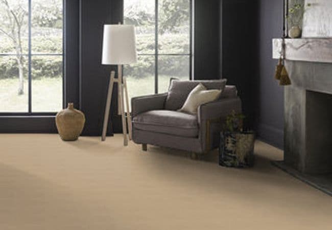 Anderson Tuftex Pawstruck Anderson Tuftex flooring collection sample
