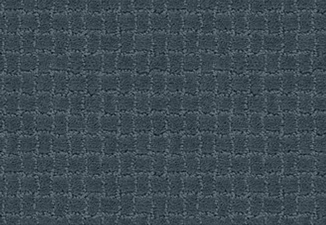Anderson Tuftex Carpet Pawstruck Nimbus — Anderson Tuftex