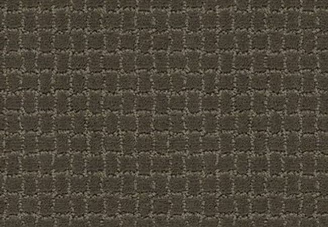 Anderson Tuftex Carpet Pawstruck Overcoat — Anderson Tuftex
