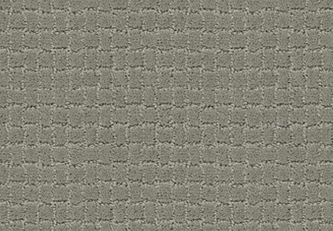 Anderson Tuftex Carpet Pawstruck Portland — Anderson Tuftex