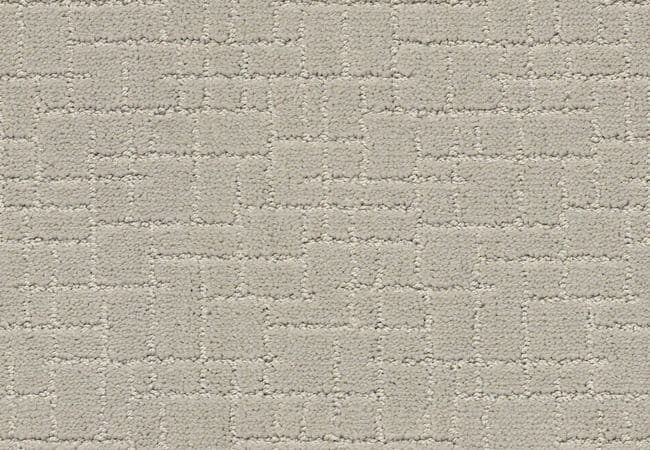 Anderson Tuftex Carpet Pawstruck Silver Fox — Anderson Tuftex