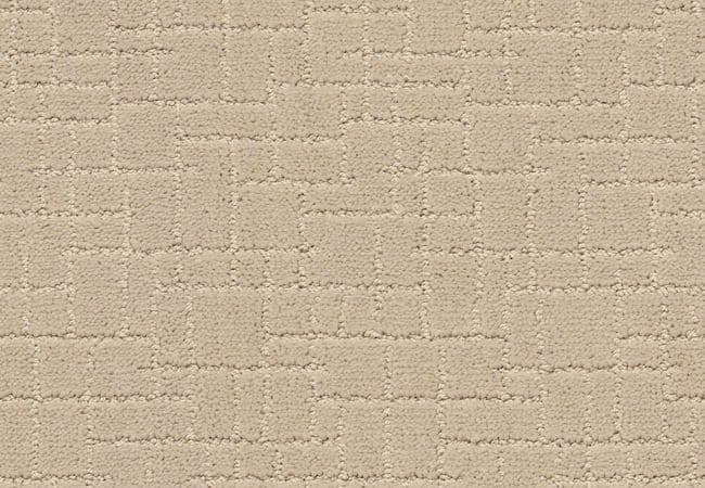 Anderson Tuftex Carpet Pawstruck Toffee Cream — Anderson Tuftex