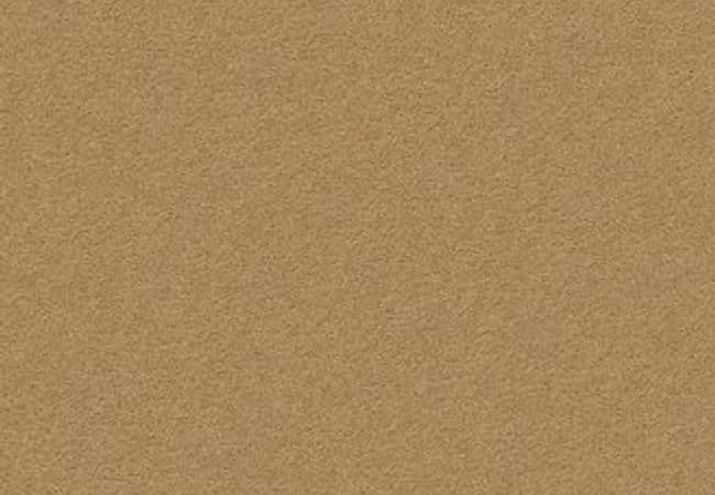 Anderson Tuftex Carpet Perfect Choice Barley — Anderson Tuftex