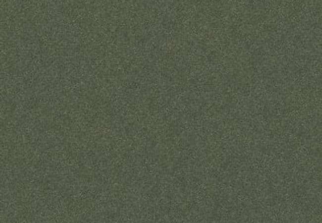 Anderson Tuftex Carpet Perfect Choice Dynasty Green — Anderson Tuftex