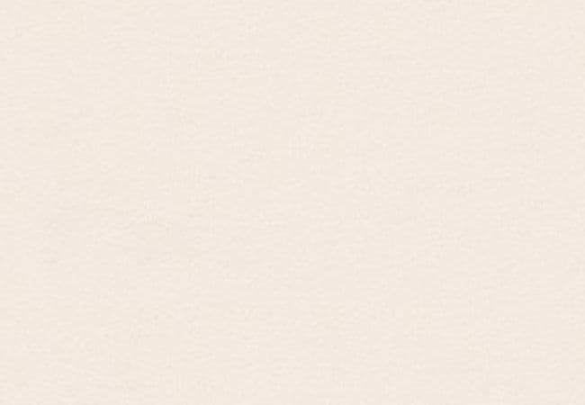 Anderson Tuftex Carpet Perfect Choice Opal — Anderson Tuftex