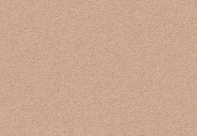 Anderson Tuftex Carpet Perfect Choice Rose Cider — Anderson Tuftex