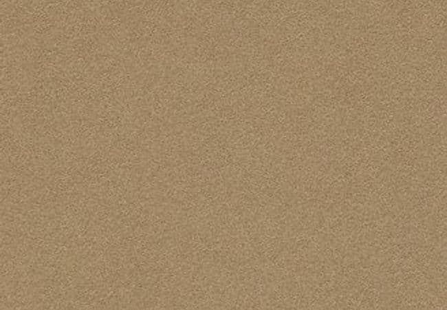 Anderson Tuftex Carpet Perfect Choice Scenery — Anderson Tuftex