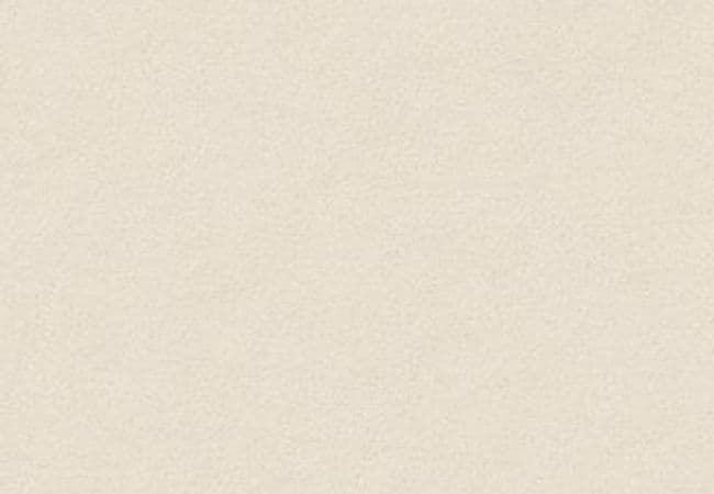 Anderson Tuftex Carpet Perfect Choice Soft Chamois — Anderson Tuftex