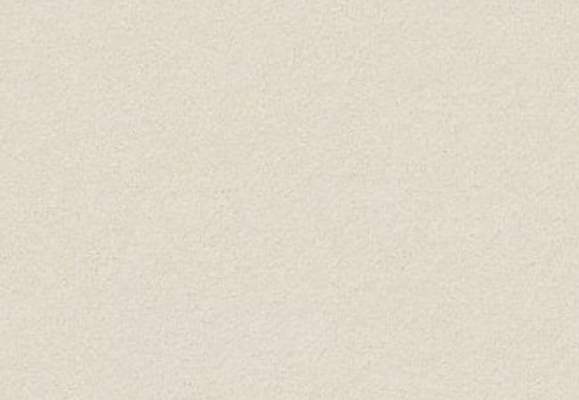 Anderson Tuftex Carpet Perfect Choice Sprig — Anderson Tuftex