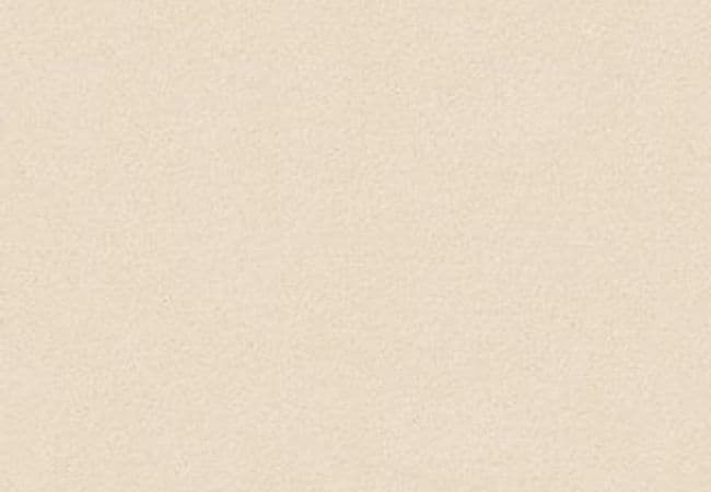 Anderson Tuftex Carpet Perfect Choice Windswept — Anderson Tuftex