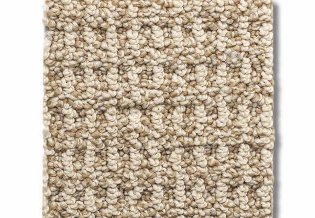 Anderson Tuftex Carpet Portofino Butterscotch, Anderson Tuftex