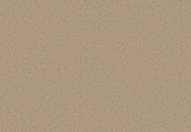 Anderson Tuftex Carpet Portofino Creme Brulee, Anderson Tuftex