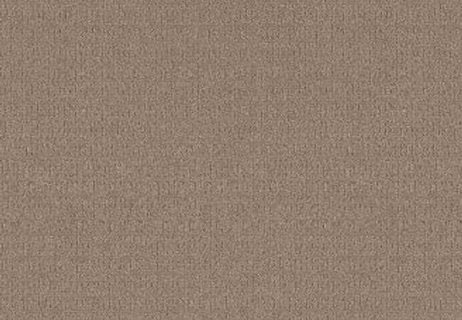 Anderson Tuftex Carpet Portofino Oxford Tan