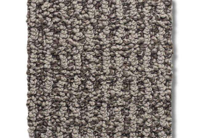 Anderson Tuftex Carpet Portofino Shitake, Anderson Tuftex