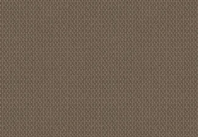 Anderson Tuftex Carpet Portofino Timber Wolf