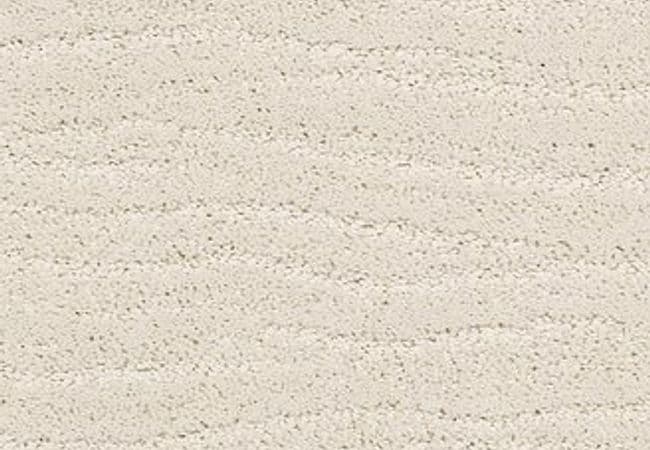 Anderson Tuftex Carpet Pose Aria — Anderson Tuftex