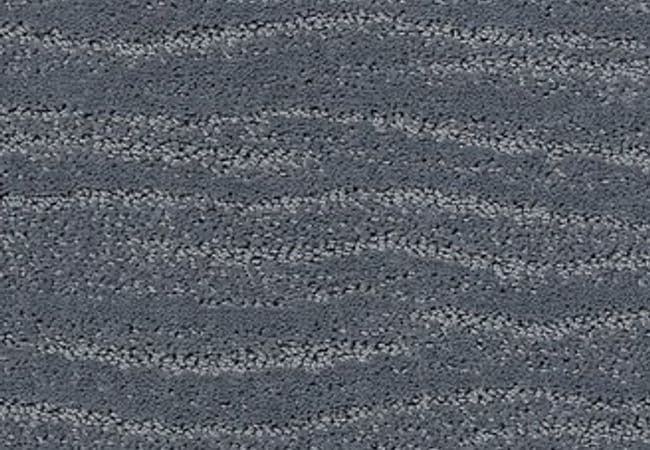 Anderson Tuftex Carpet Pose Comet — Anderson Tuftex
