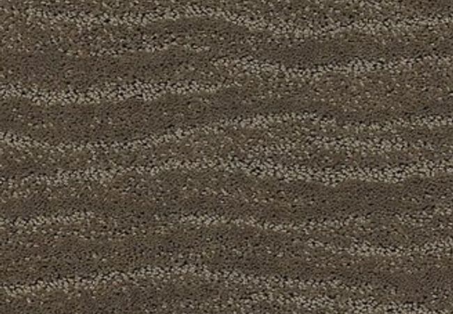 Anderson Tuftex Carpet Pose Dash — Anderson Tuftex