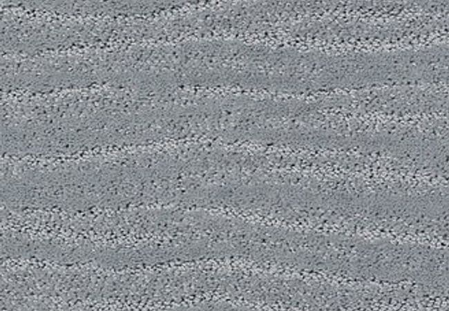 Anderson Tuftex Carpet Pose Edgewater — Anderson Tuftex
