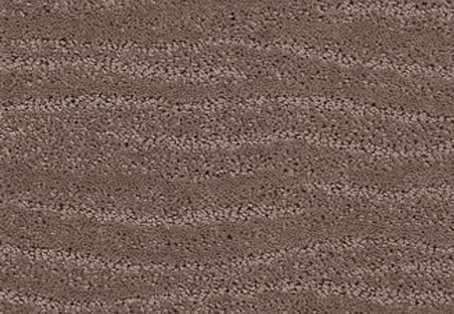Anderson Tuftex Carpet Pose Enigma — Anderson Tuftex