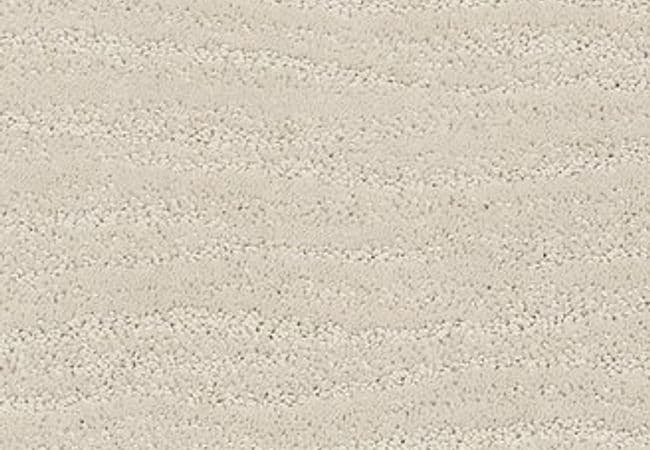 Anderson Tuftex Carpet Pose Minimal — Anderson Tuftex