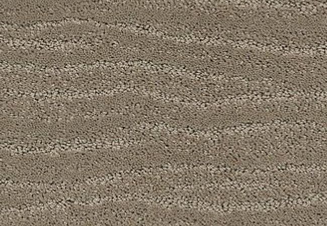 Anderson Tuftex Carpet Pose Reflection — Anderson Tuftex