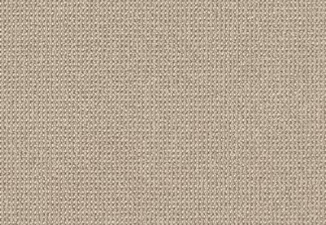 Anderson Tuftex Carpet Purrfection Champagne — Anderson Tuftex