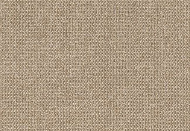 Anderson Tuftex Carpet Purrfection Great Plains