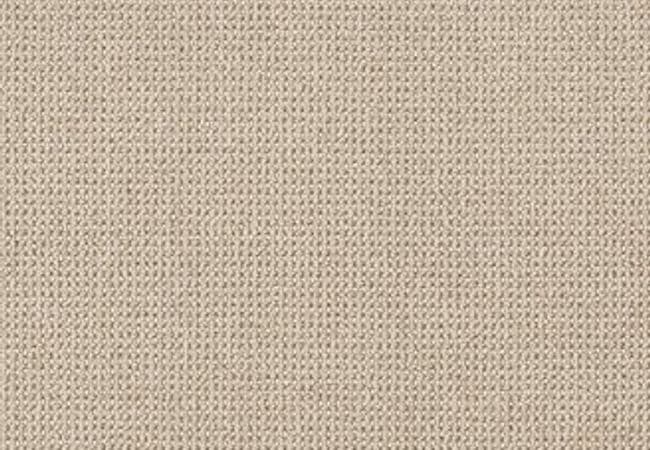 Anderson Tuftex Carpet Purrfection Matchstick