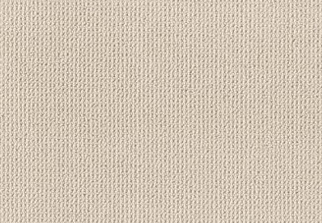 Anderson Tuftex Carpet Purrfection White Sand
