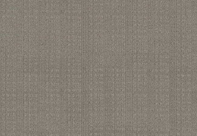 Anderson Tuftex Carpet Purrsuasion Backdrop — Anderson Tuftex
