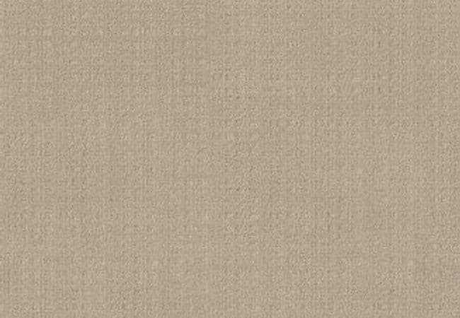 Anderson Tuftex Carpet Purrsuasion Blonde — Anderson Tuftex