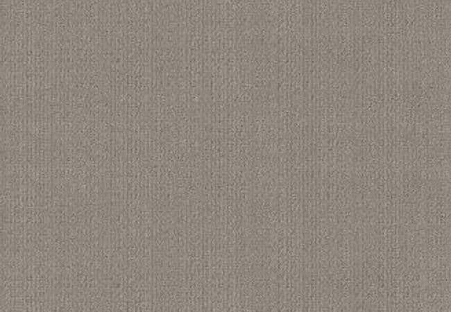 Anderson Tuftex Carpet Purrsuasion Cement, Anderson Tuftex