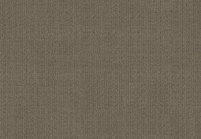 Anderson Tuftex Carpet Purrsuasion Craftsman — Anderson Tuftex