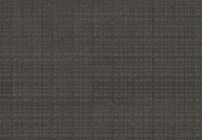 Anderson Tuftex Carpet Purrsuasion Cyberspace, Anderson Tuftex