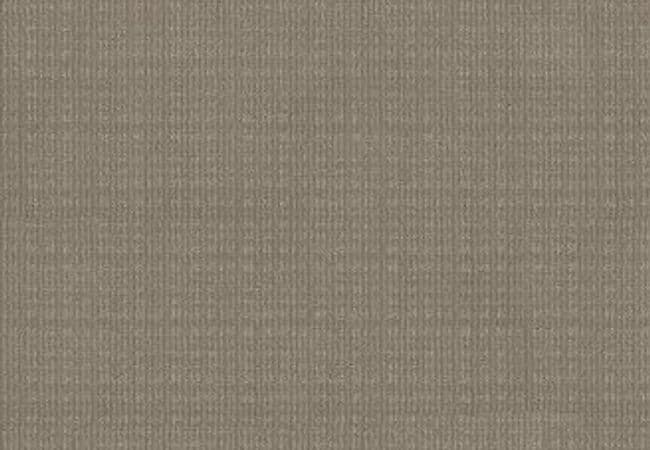 Anderson Tuftex Carpet Purrsuasion Favorite Tan, Anderson Tuftex