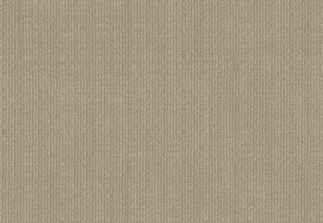 Anderson Tuftex Carpet Purrsuasion Simply Beige — Anderson Tuftex