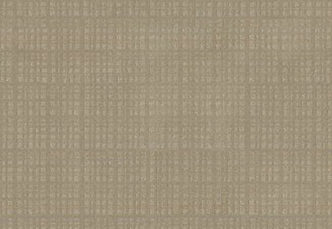 Anderson Tuftex Carpet Purrsuasion Sunrise — Anderson Tuftex