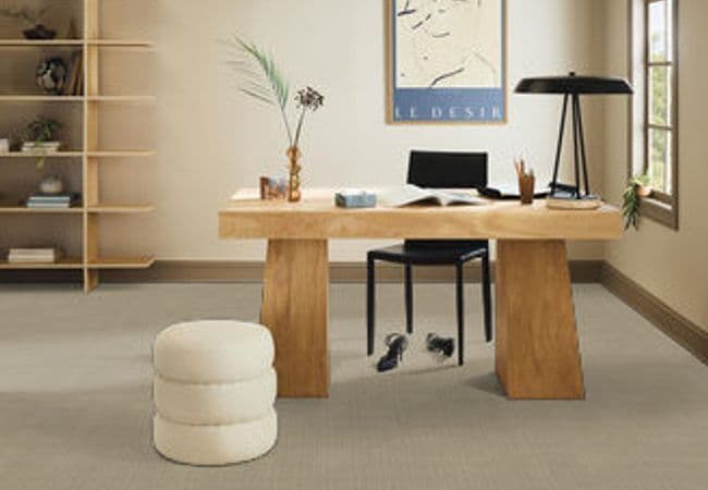 Anderson Tuftex Purrsuasion flooring collection sample