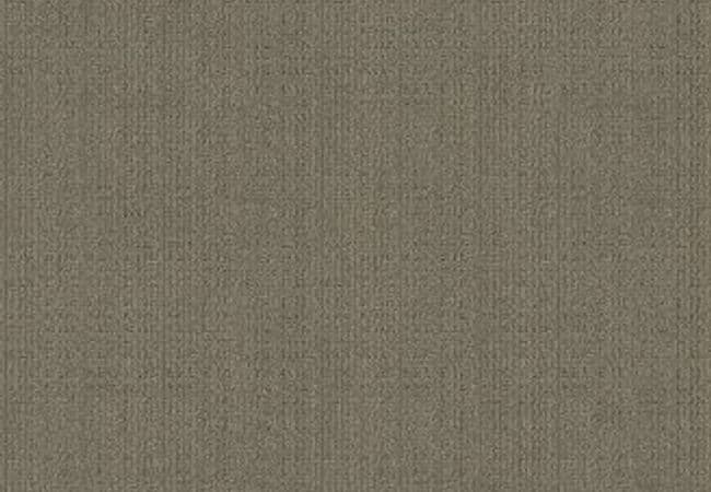 Anderson Tuftex Carpet Purrsuasion Urban Jungle — Anderson Tuftex