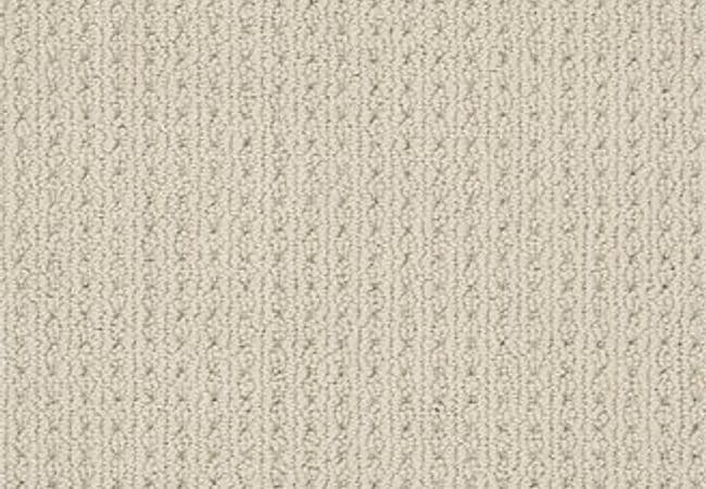 Anderson Tuftex Carpet San Lucas Fleece, Anderson Tuftex
