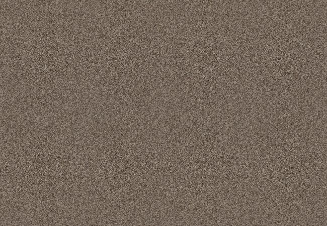Anderson Tuftex Carpet Scout Desert Palm — Anderson Tuftex
