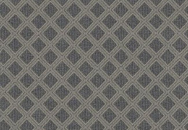 Anderson Tuftex Carpet Scout Downpour — Anderson Tuftex