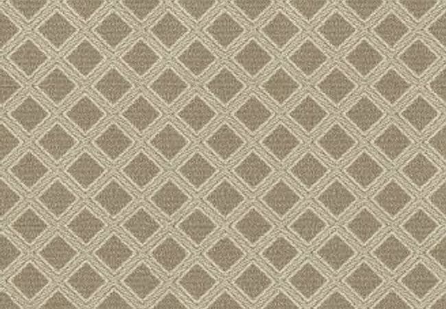 Anderson Tuftex Carpet Scout Sesame — Anderson Tuftex