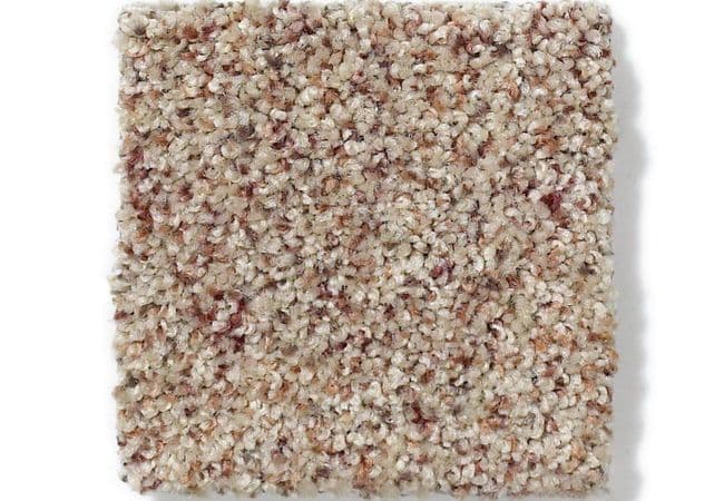 Anderson Tuftex Serendipity II Berber flooring collection sample
