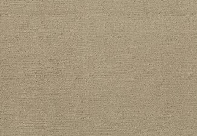 Anderson Tuftex Carpet Sketch Coronado, Anderson Tuftex