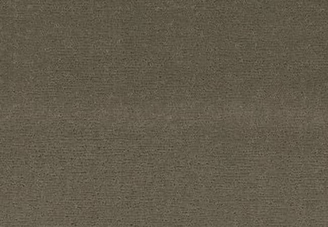 Anderson Tuftex Carpet Sketch Herbal, Anderson Tuftex