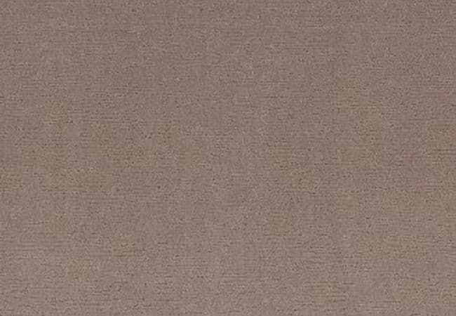 Anderson Tuftex Carpet Sketch Socialite — Anderson Tuftex