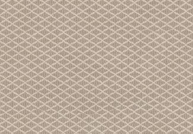Anderson Tuftex Carpet Springer's Point Almond, Anderson Tuftex